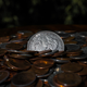 Illustration for article titled 27 Cool Photos Of International Coins